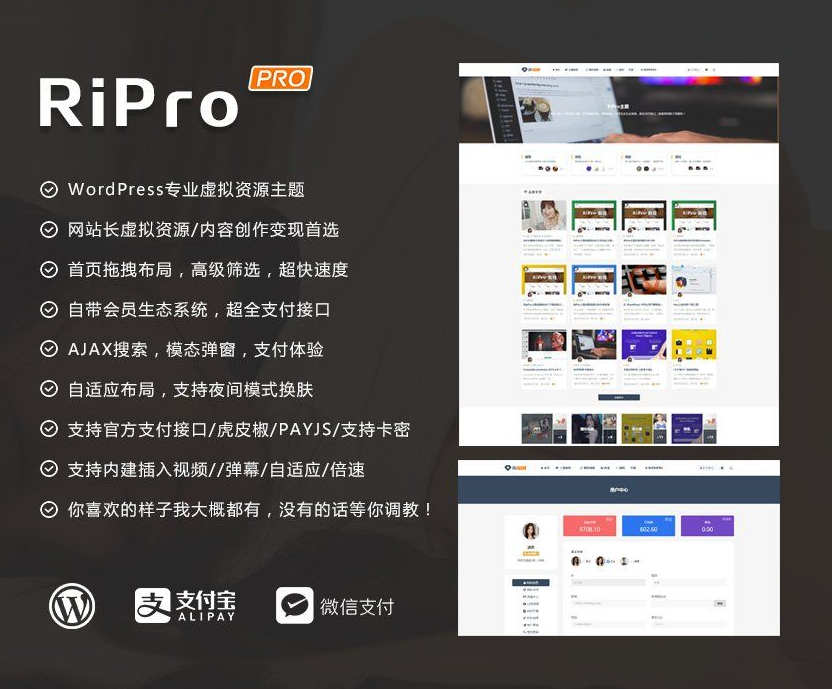RiPro主题最新版无授权限制版 高级资源站下载主题+完整版插图1