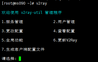 自建v2ray代理服务器教程插图23